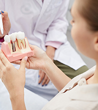 A dentist showing a female patient a dental implant model